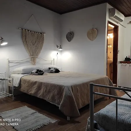 Sofia * سكيروس